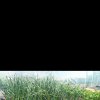 Screenshot_2025-06-14-21-48-40-608_com_miui.gallery.jpg