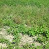 DSC00349.JPG